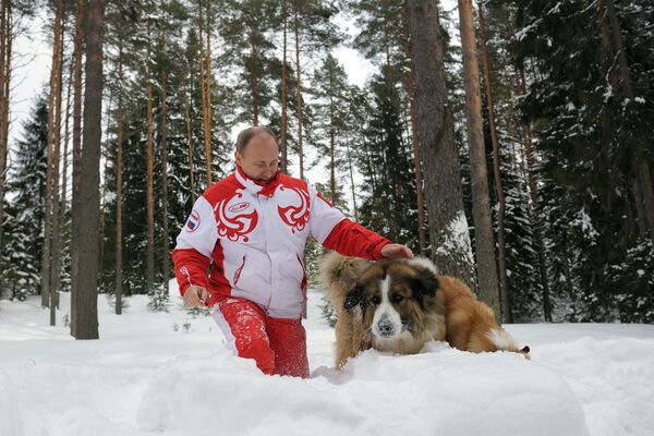 Vladímir Putin y sus perros - Sputnik Mundo