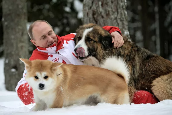 Vladímir Putin y sus perros Vladímir Putin y sus perros - Sputnik Mundo