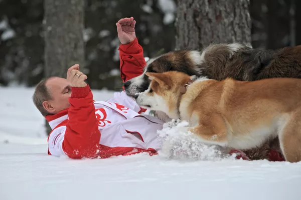 Vladímir Putin y sus perros Vladímir Putin y sus perros - Sputnik Mundo