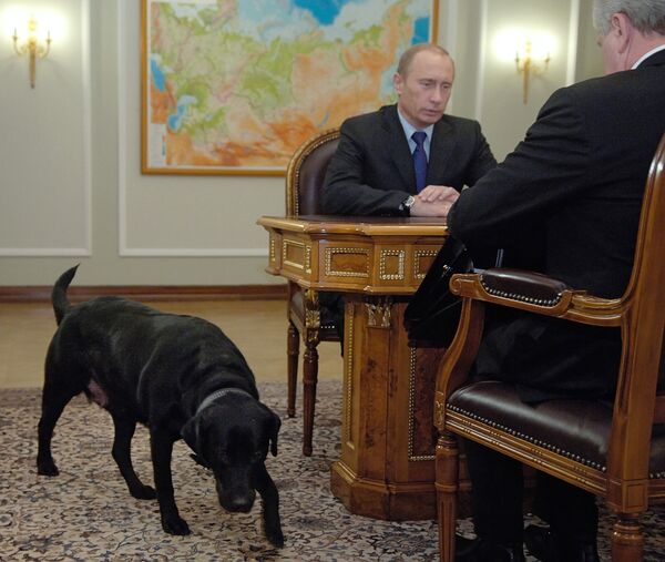 Vladímir Putin y sus perros - Sputnik Mundo