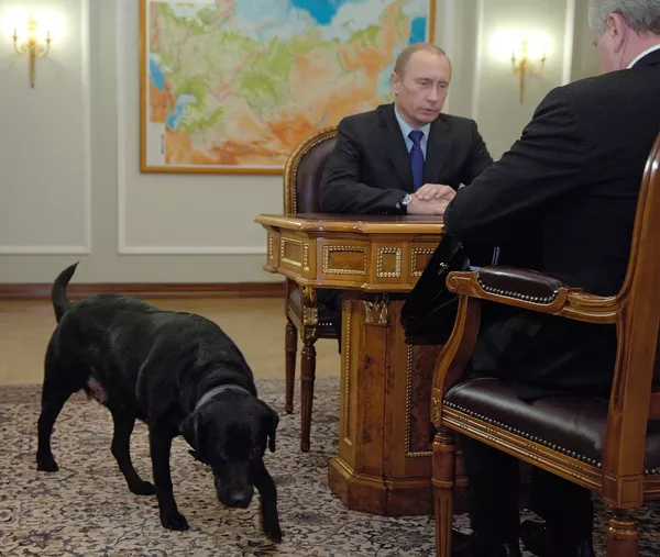 Vladímir Putin y sus perros Vladímir Putin y sus perros - Sputnik Mundo