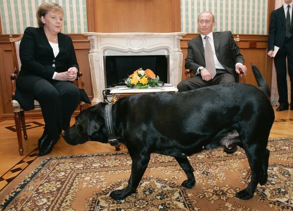 Vladímir Putin y sus perros - Sputnik Mundo