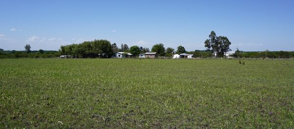 Colonia Ofir, Río Negro, Uruguay - Sputnik Mundo