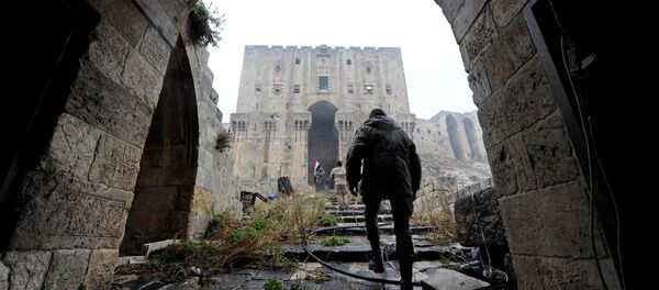 Situación en Siria (archivo) - Sputnik Mundo