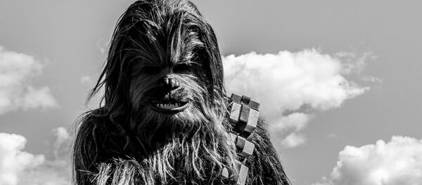 Chewbacca - Sputnik Mundo