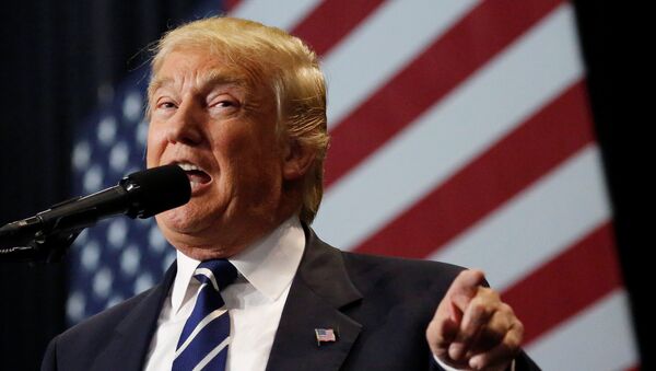 U.S. President-elect Donald Trump speaks at the USA Thank You Tour event at the Wisconsin State Fair Exposition Center in West Allis, Wisconsin, U.S. - Sputnik Mundo