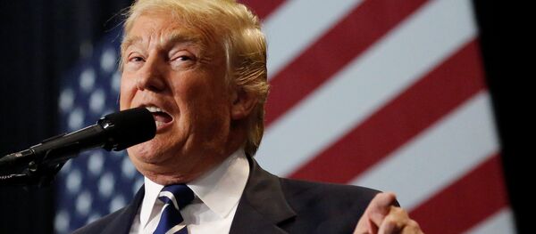U.S. President-elect Donald Trump speaks at the USA Thank You Tour event at the Wisconsin State Fair Exposition Center in West Allis, Wisconsin, U.S. - Sputnik Mundo