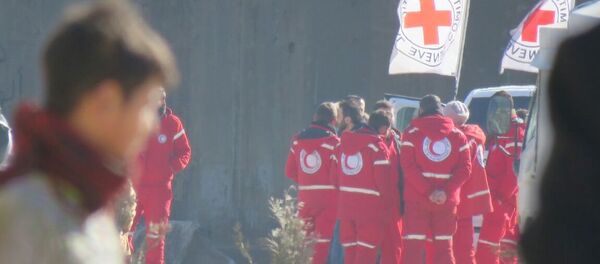 Los representantes de la Cruz Roja en Alepo - Sputnik Mundo