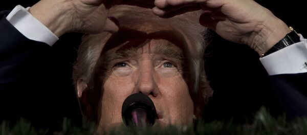 Donald Trump, presidente electo de EEUU - Sputnik Mundo