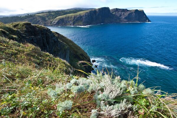 Las Kuriles del Sur: las cuatro islas de la discordia - Sputnik Mundo