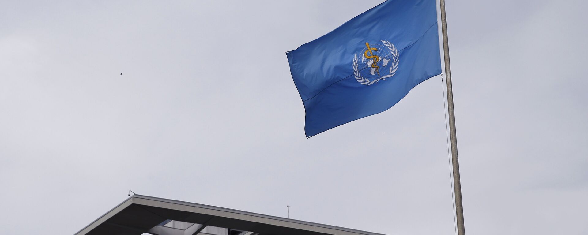 Bandera de la Organización Mundial de la Salud (OMS) - Sputnik Mundo, 1920, 06.12.2021