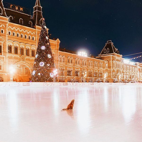La magia de Moscú en navidades La magia de Moscú en navidades - Sputnik Mundo