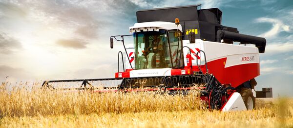 Una cosechadora de la empresa rusa Rostselmash durante el trabajo - Sputnik Mundo