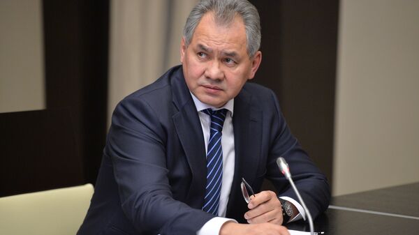 Russian Defense Minister Sergei Shoigu - Sputnik Mundo