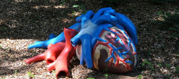 Una estatua de un corazón - Sputnik Mundo