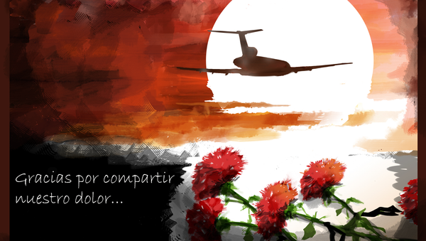 Luto en Rusia tras la tragedia del Tu-154 - Sputnik Mundo