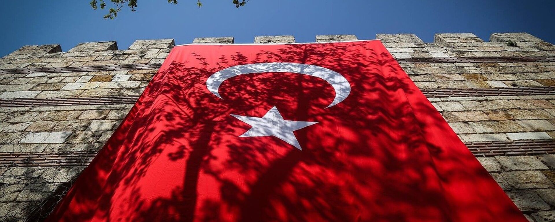 La bandera de Turquía - Sputnik Mundo, 1920, 12.07.2024