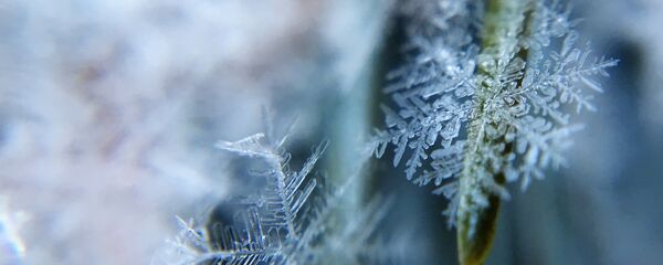 Un copo de nieve - Sputnik Mundo