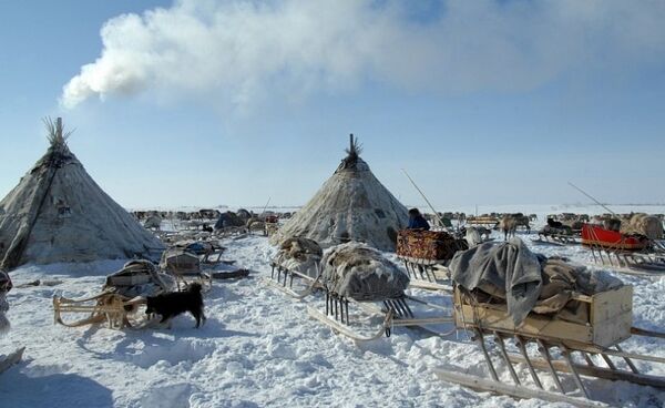 Hogar tradicional de los pastores siberianos en Yamal - Sputnik Mundo
