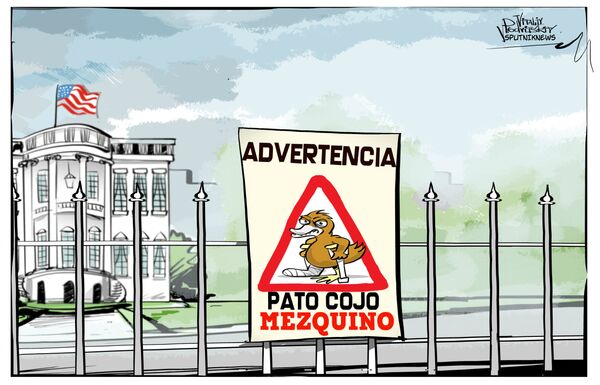 'Advertencia, pato cojo mezquino' - Sputnik Mundo