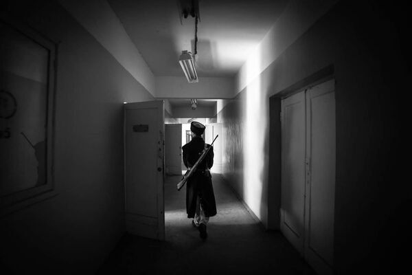 A pesar de todo, el guardián ártico continúa su vigilancia en Spitsbergen - Sputnik Mundo