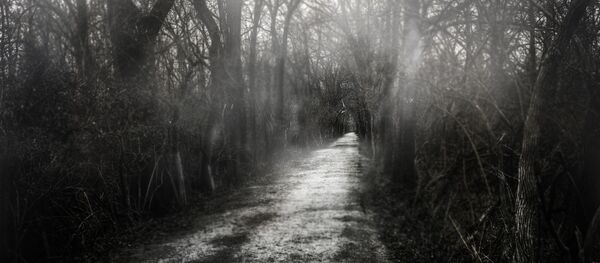 Spooky forest - Sputnik Mundo