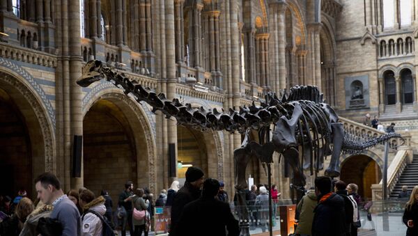 Diplodocus Dippy - Sputnik Mundo