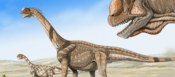 Ilustración del dinosaurio Camarasaurus supremus - Sputnik Mundo