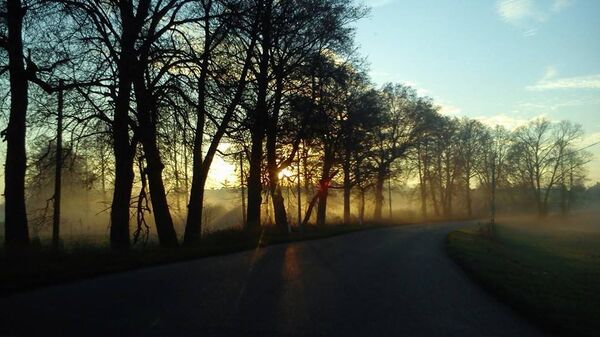 Camino entre Klómino y Michalowo - Sputnik Mundo