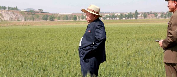 Líder de Corea del Norte, Kim Jong-un, en una granja (archivo) - Sputnik Mundo