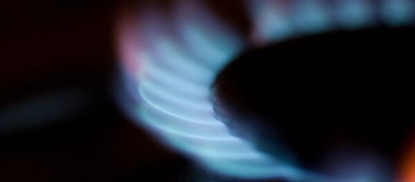 Estufa de gas - Sputnik Mundo