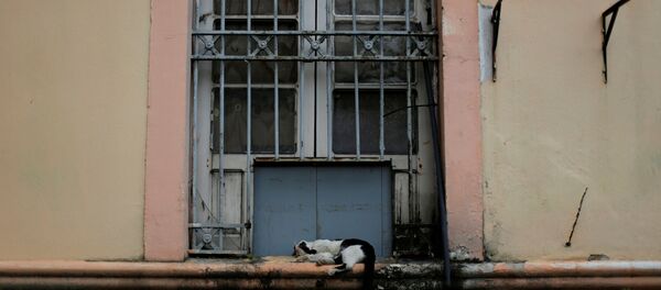 Cárcel de Manaos en Brasil - Sputnik Mundo