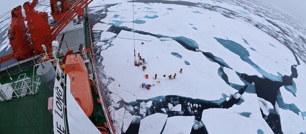 Rompehielos chino Xue Long - Sputnik Mundo