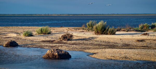 Reserva natural - Sputnik Mundo