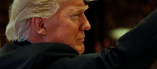 Donald Trump, presidente electo de EEUU - Sputnik Mundo