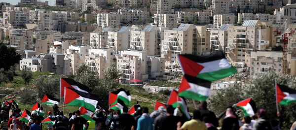 Palestinos llevan su bandera (archivo) - Sputnik Mundo