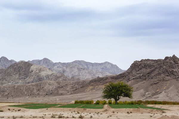 La maravillosa ciudad oasis en un desierto iraní - Sputnik Mundo