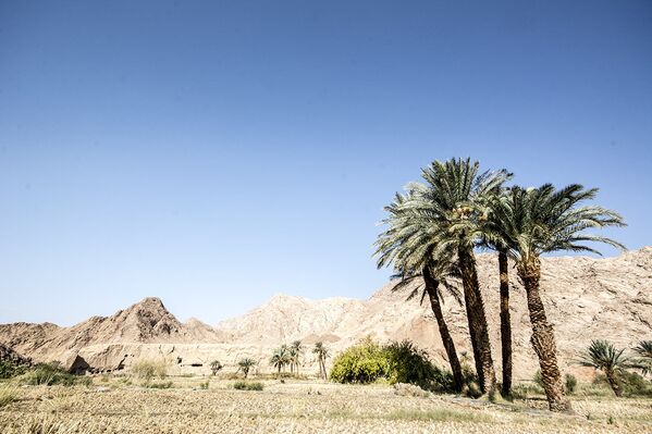 La maravillosa ciudad oasis en un desierto iraní - Sputnik Mundo