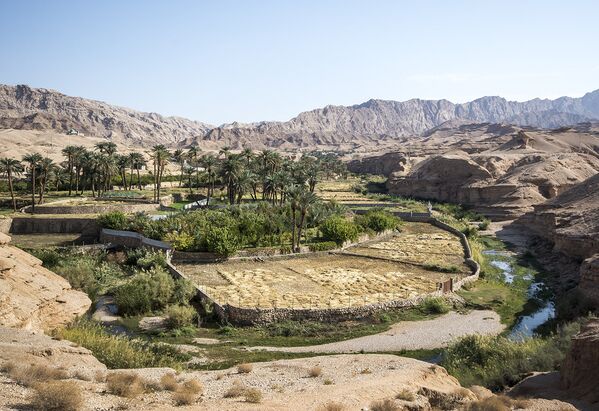 La maravillosa ciudad oasis en un desierto iraní - Sputnik Mundo