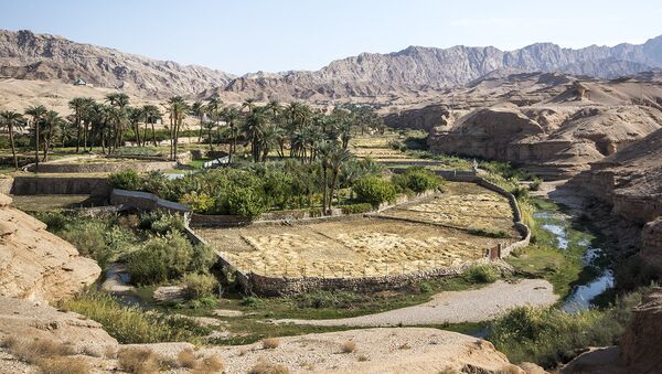 La maravillosa ciudad oasis en un desierto iraní - Sputnik Mundo