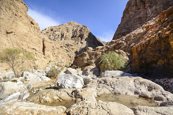 La maravillosa ciudad oasis en un desierto iraní - Sputnik Mundo