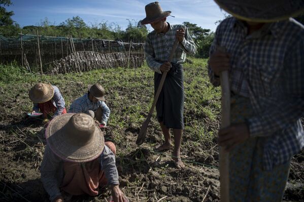 Las personas más ricas y pobres del planeta Las personas más ricas y pobres del planeta - Sputnik Mundo