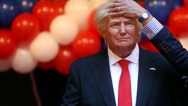 Figura de Donald Trump en el Museo de Cera de Madrid Figura de Donald Trump en el Museo de Cera de Madrid - Sputnik Mundo