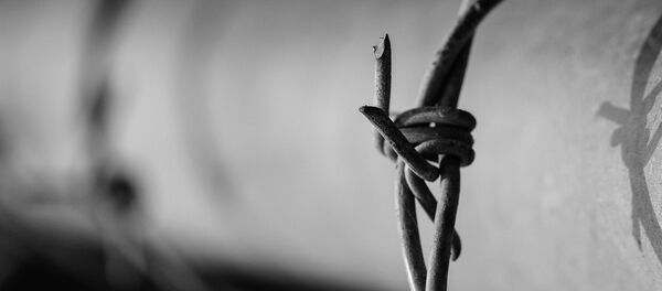 Alambre de púa (imagen referencial) - Sputnik Mundo