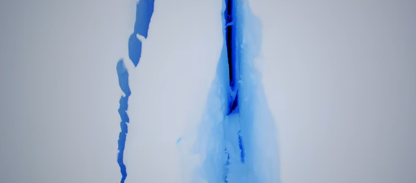 Una grieta gigantesca en el hielo de la Antártida - Sputnik Mundo