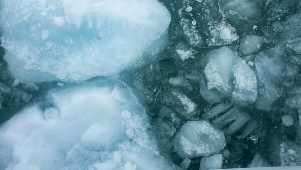 Hielo en el agua - Sputnik Mundo