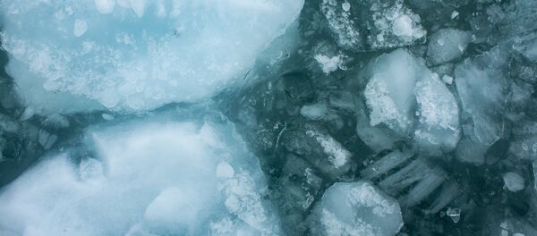 Hielo en el agua - Sputnik Mundo