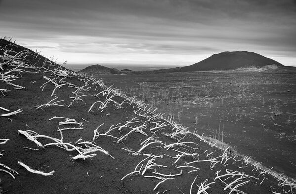 Belleza volcánica: los secretos de la misteriosa Kamchatka - Sputnik Mundo
