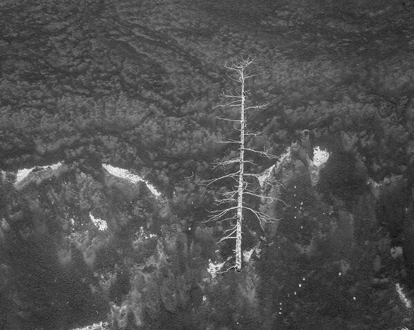 Belleza volcánica: los secretos de la misteriosa Kamchatka - Sputnik Mundo