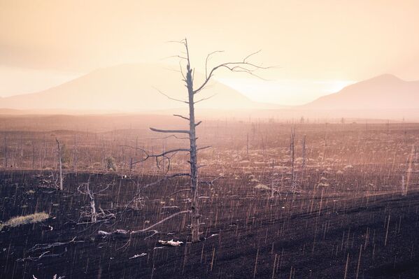 Belleza volcánica: los secretos de la misteriosa Kamchatka - Sputnik Mundo